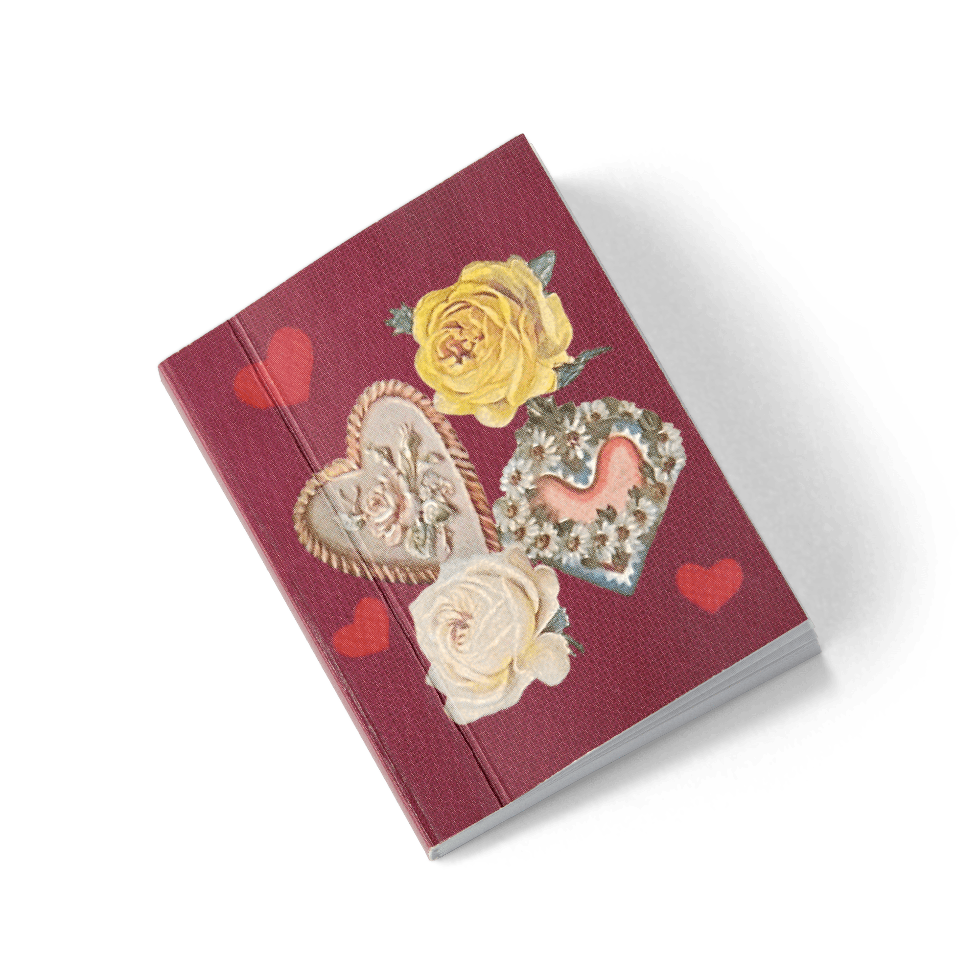 Raquel Reyes Doll, Journal & Accessories (Girl Of The Year 2026) - Image 16