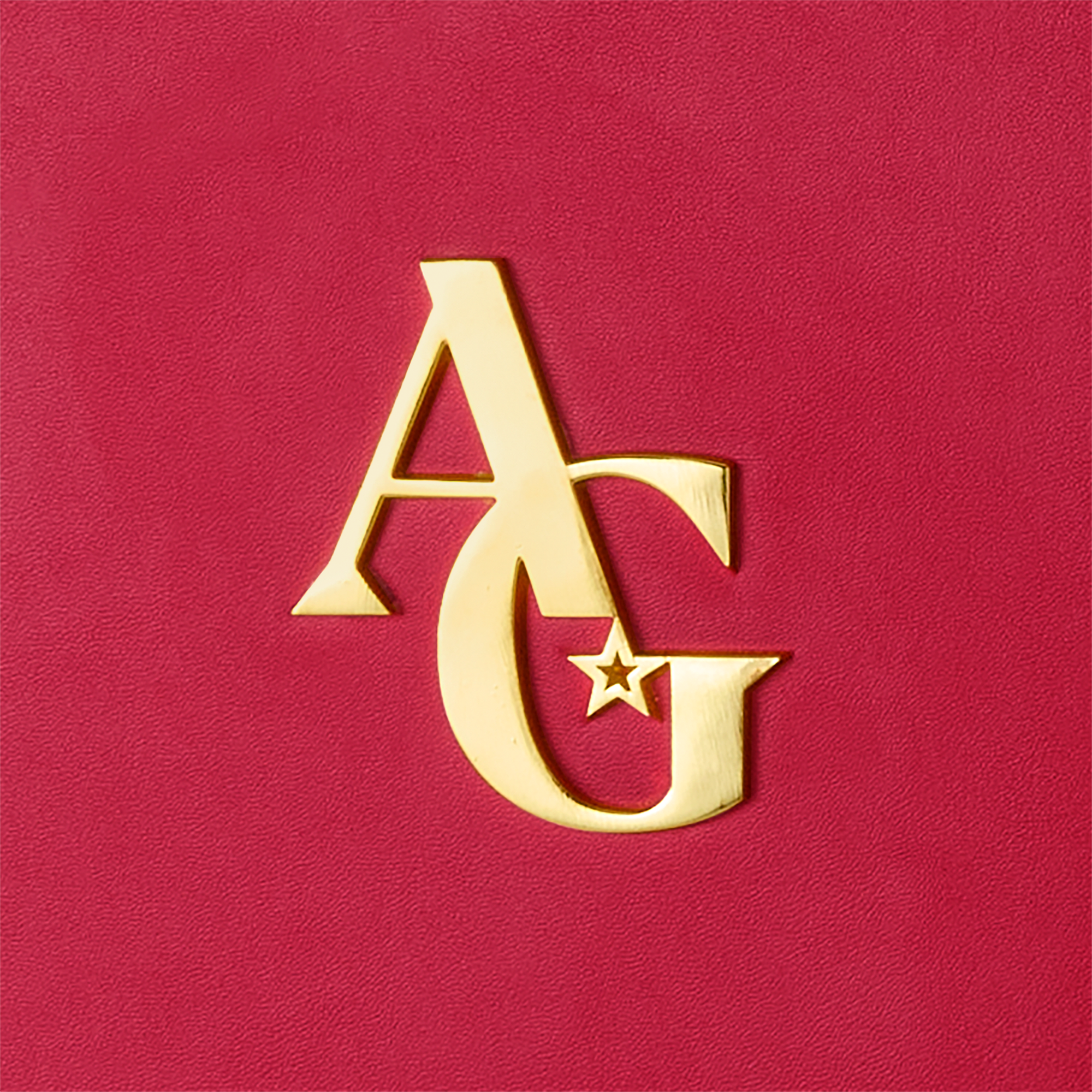 American Girl Doll Storage Trunk - Image 8